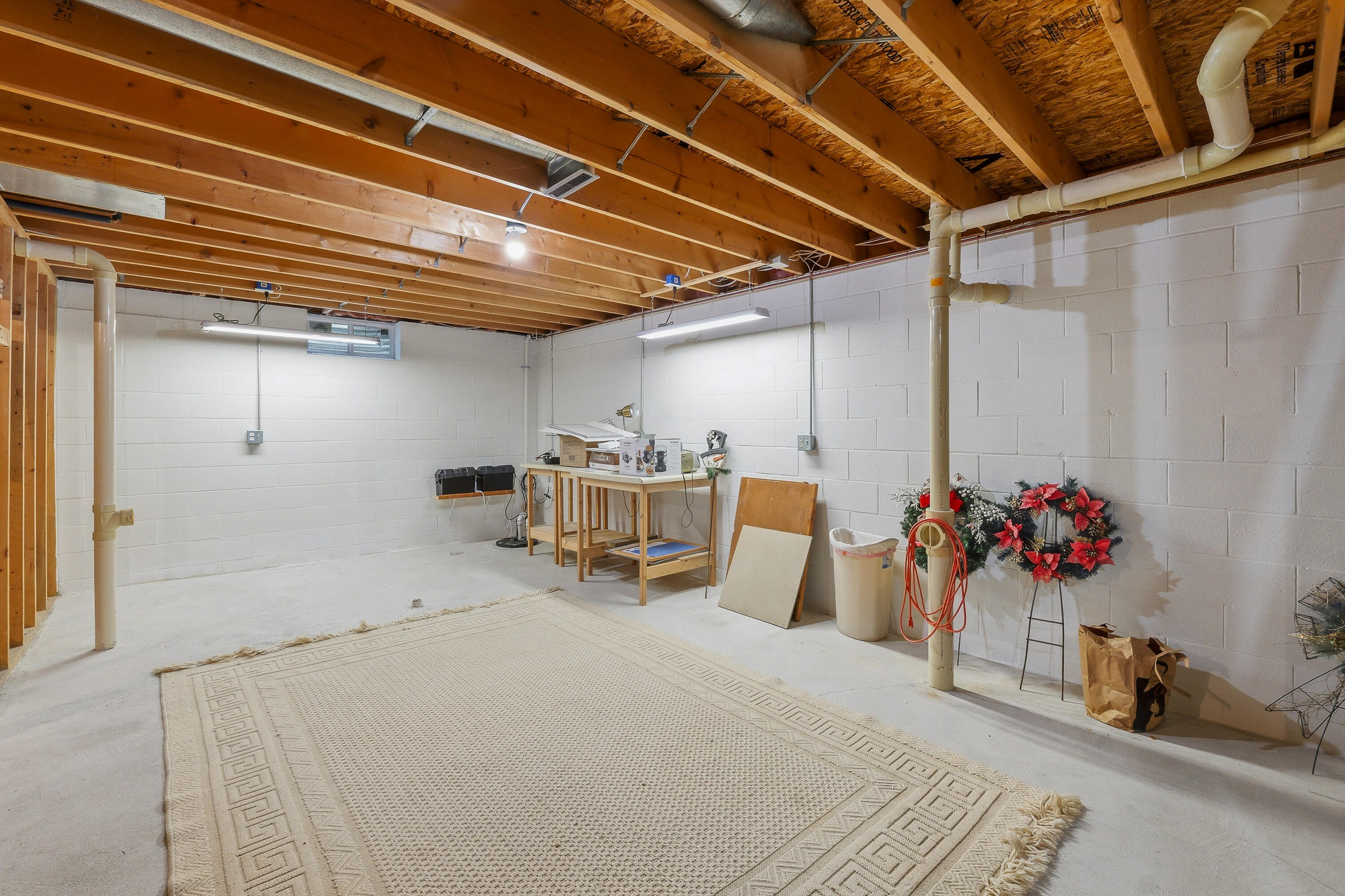 1237 Audubon Road Howards Grove, WI 53083 - Photo 19 of 31 Basement Space