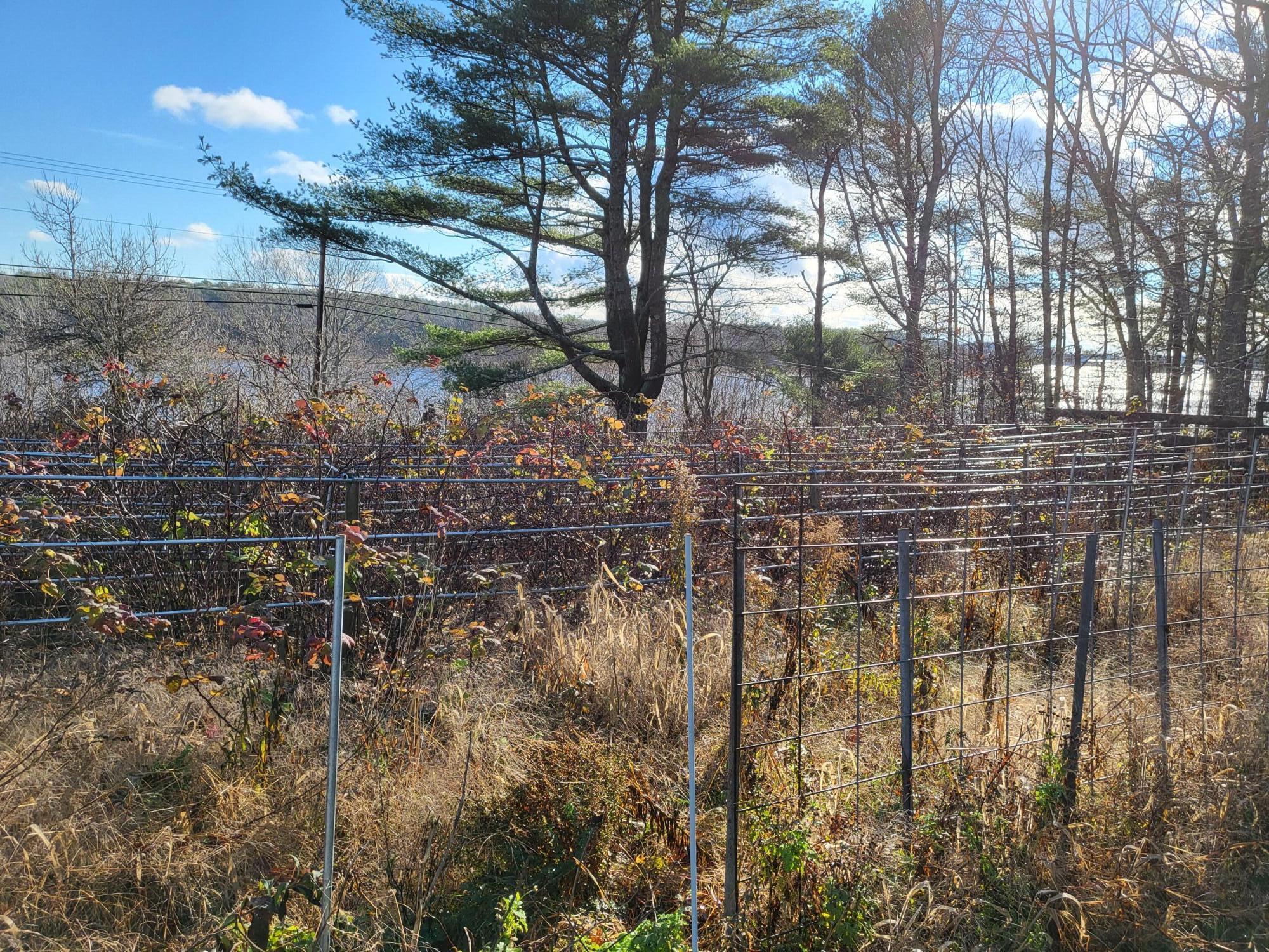 643 Main Road Phippsburg, ME 04562 - Photo 26 of 42 20221117_095504