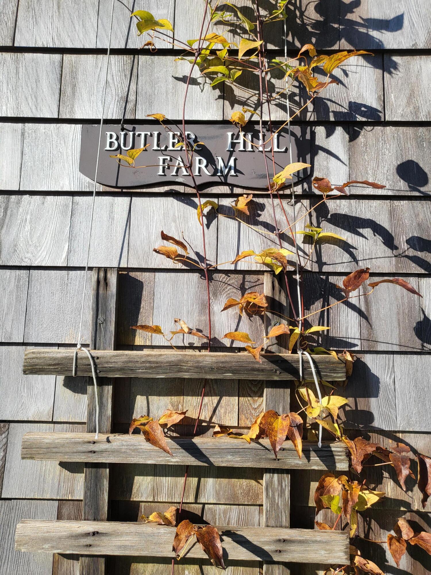 643 Main Road Phippsburg, ME 04562 - Photo 29 of 42 20221117_095613