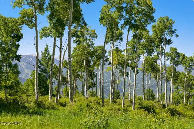 $3,495,000 | 114 Goldenrod, Avon, CO 81620