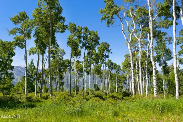 $3,495,000 | 114 Goldenrod, Avon, CO 81620