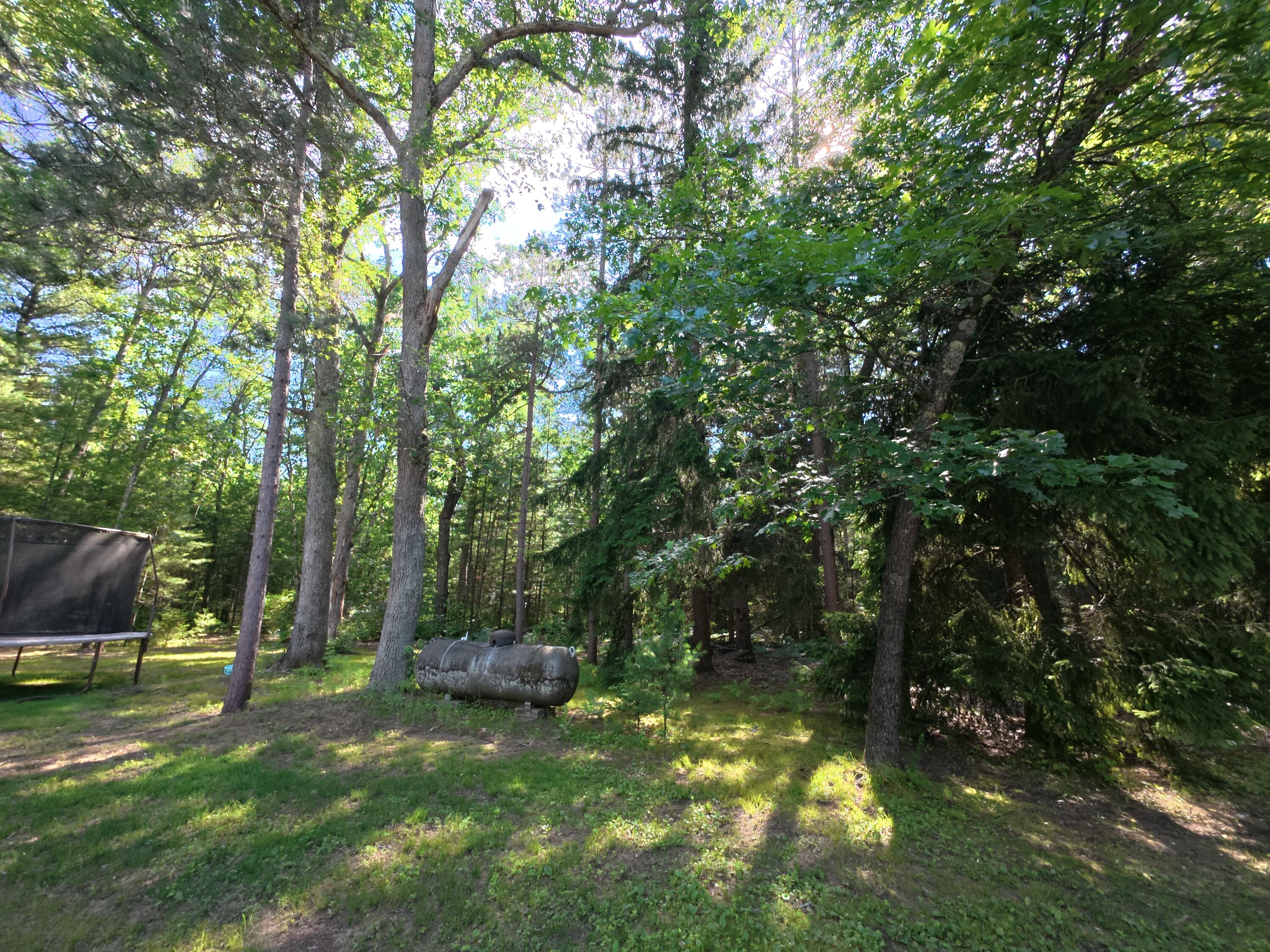 18233 Old House Road Wellston, MI 49689 - Photo 14 of 16 DJI_20260702171428_0325_D