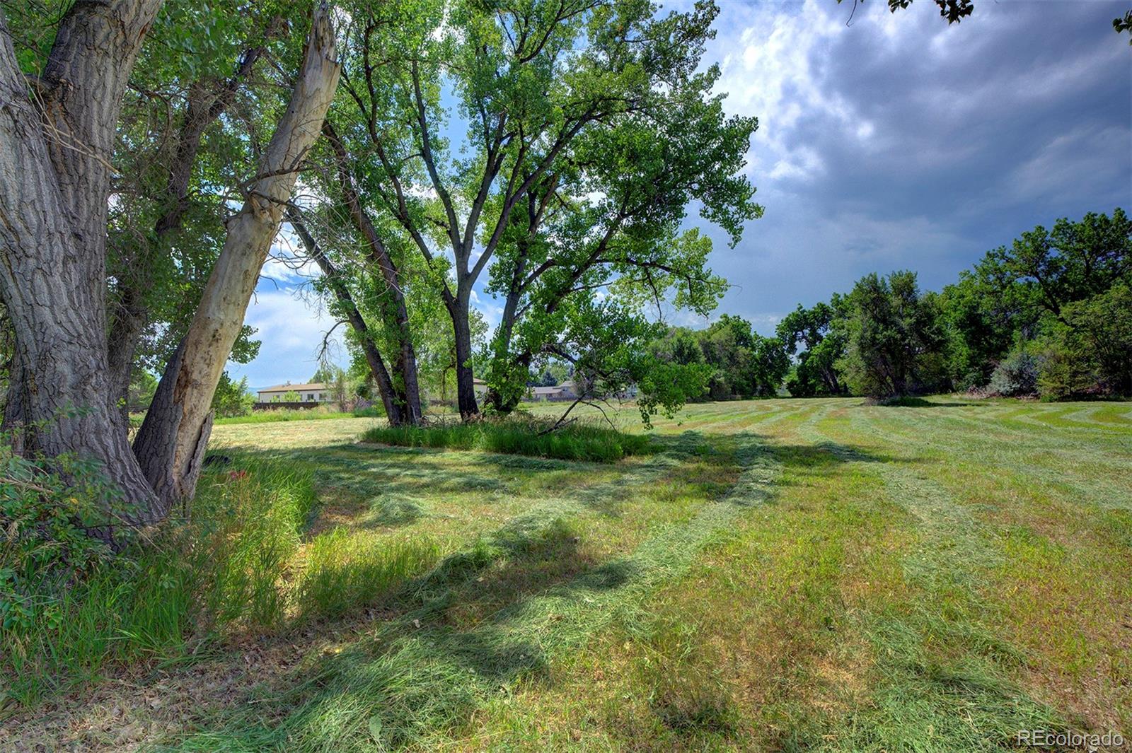 4595 Parfet Street Wheat Ridge, CO 80033 - Photo 22 of 31 Gallery Image 22