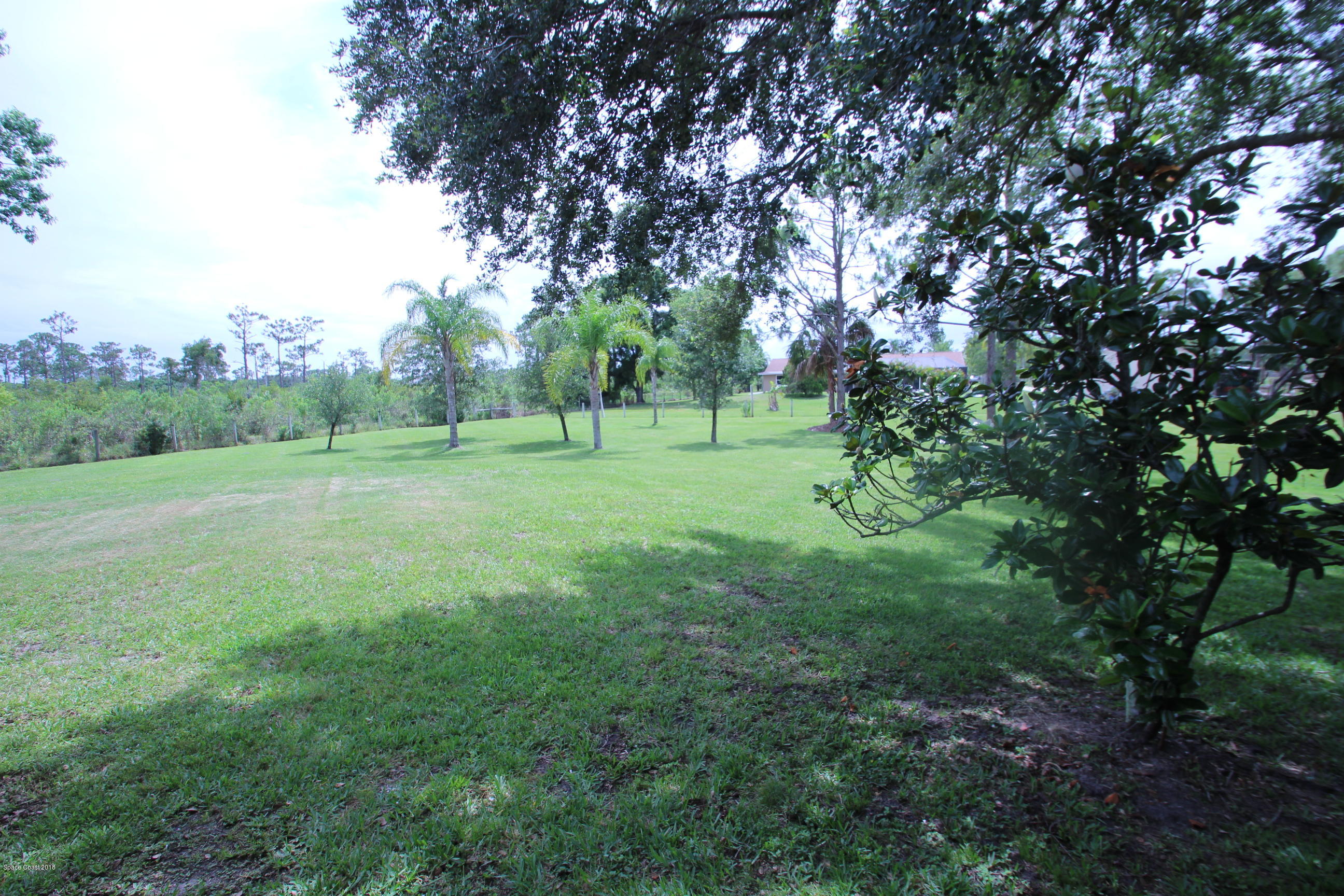 2720 Weber Road Malabar, FL 32950 - Photo 4 of 41 Green Grass of Summer