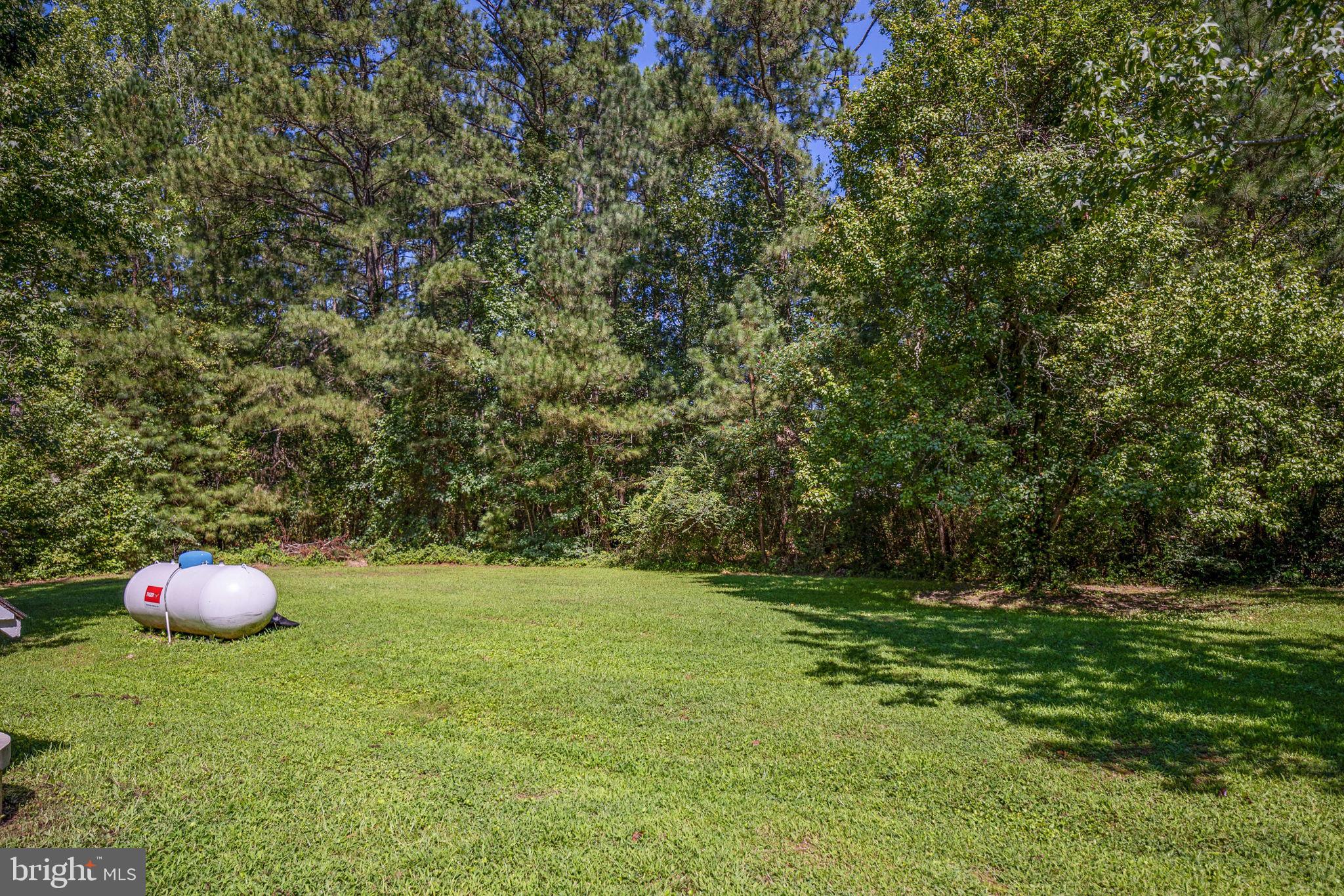 7397 Cedar Fork Road Ruther Glen, VA 22546 - Photo 41 of 57 Gallery Image 41