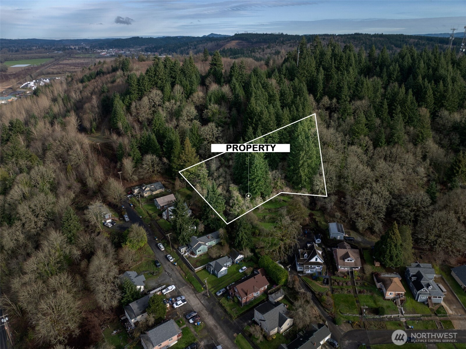 0 Northeast Franklin Avenue Chehalis, WA 98532 - Photo 2 of 9 a view of a city with lush green forest