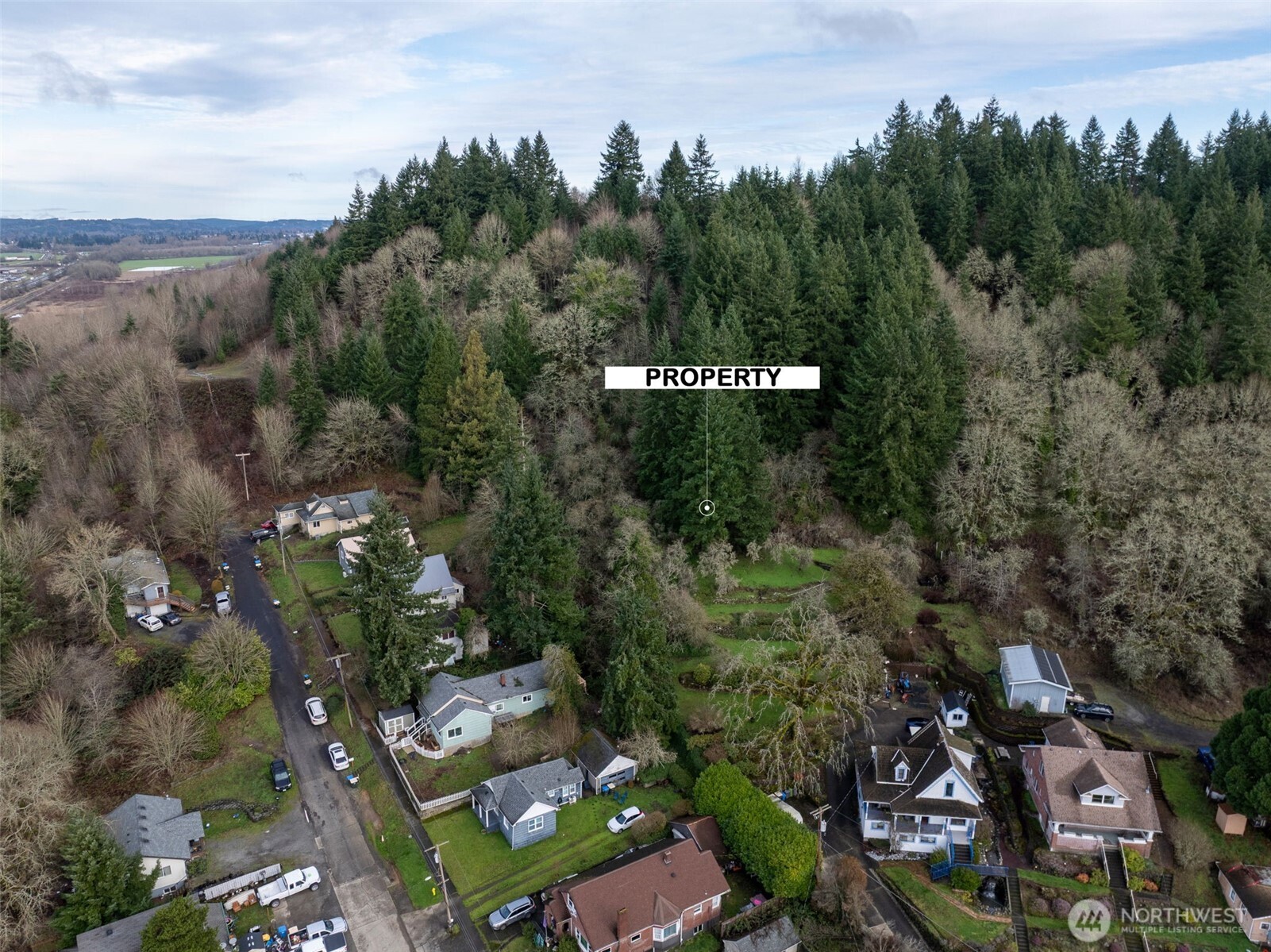 0 Northeast Franklin Avenue Chehalis, WA 98532 - Photo 3 of 9 an aerial view of multiple house