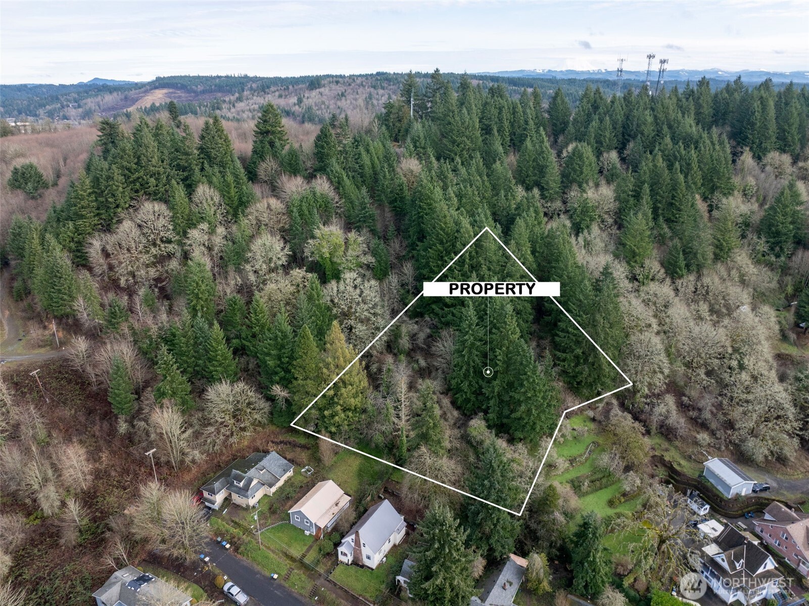 0 Northeast Franklin Avenue Chehalis, WA 98532 - Photo 5 of 9 an aerial view of a house with a yard