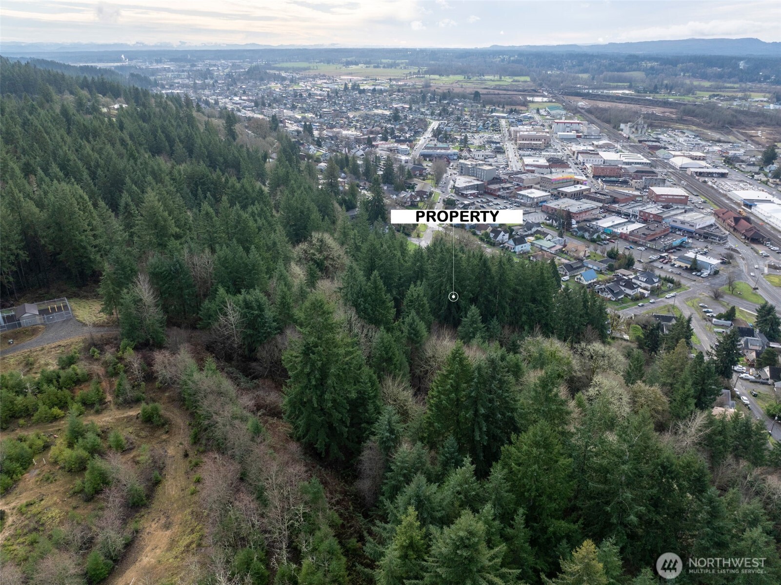 0 Northeast Franklin Avenue Chehalis, WA 98532 - Photo 6 of 9 a view of a city