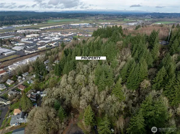 $69,000 | 0 Northeast Franklin Avenue, Chehalis, WA 98532