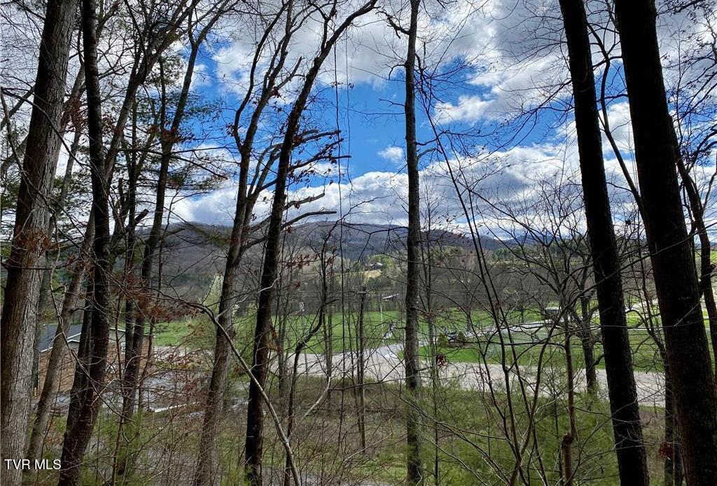 Tbd Rhea Road, Unit 23 Mountain City, TN 37683 - Photo 1 of 9 tn3