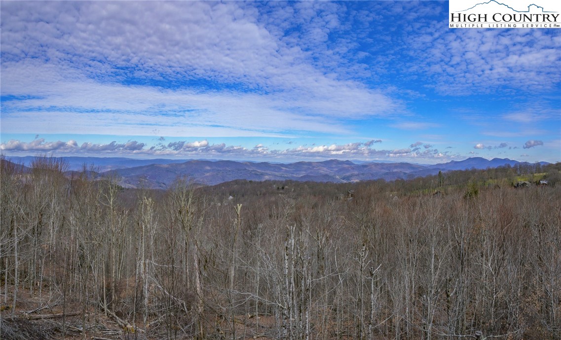 128 Hawthorne Road Beech Mountain, NC 28604 - Photo 21 of 47 Gallery Image 21