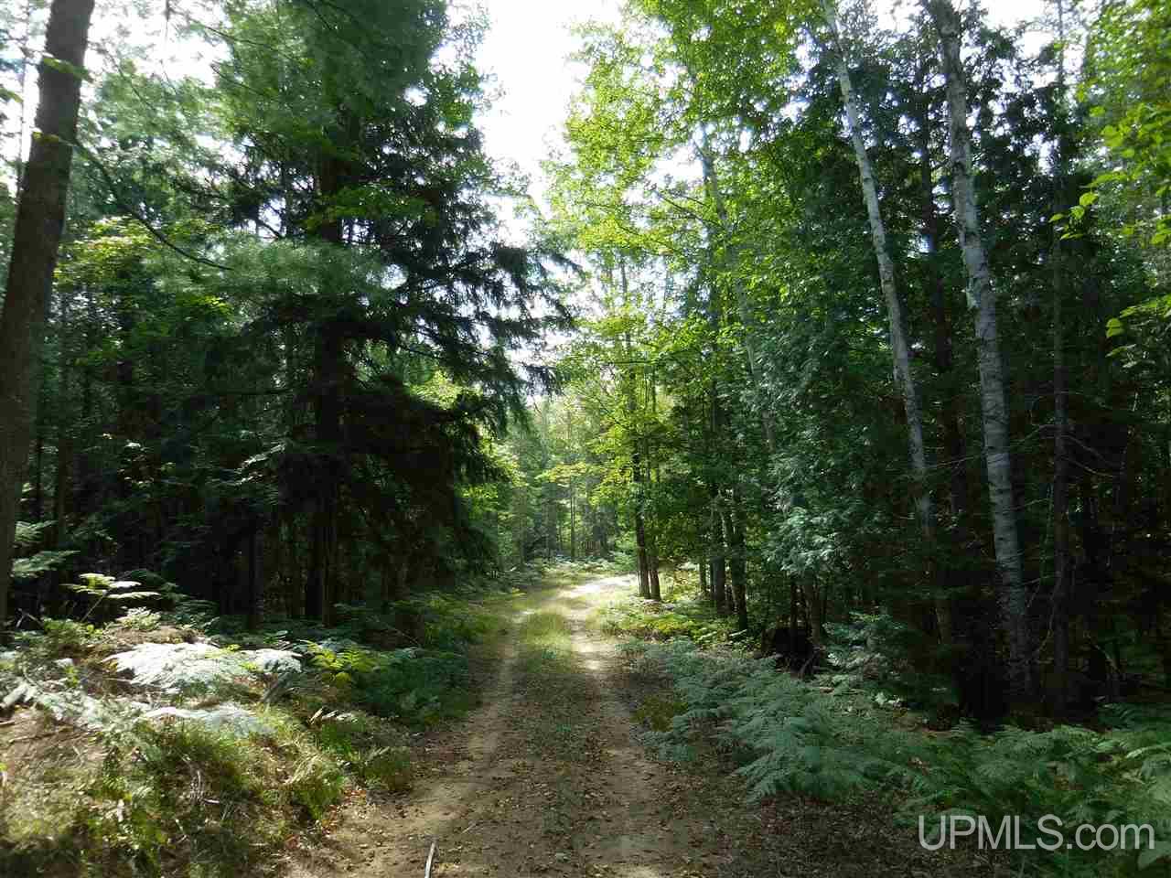 Tbd 60 Acres Off Carlson Road Manistique, MI 49854 - Photo 7 of 8