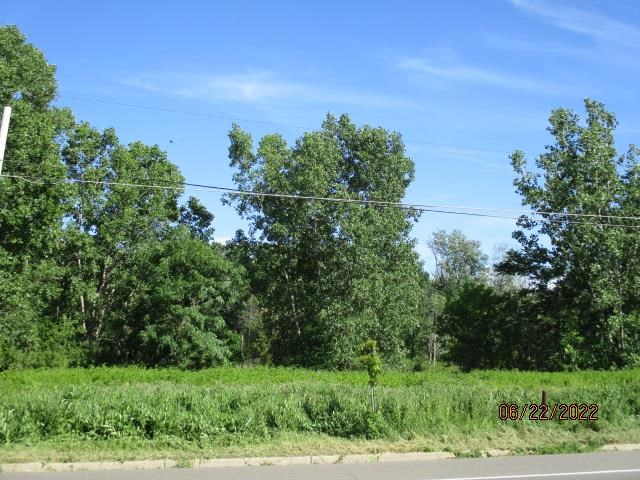0 Fenton Road Fenton, MI 48430 - Photo 5 of 5