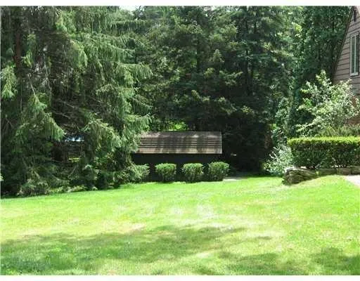 a view of garden with trees