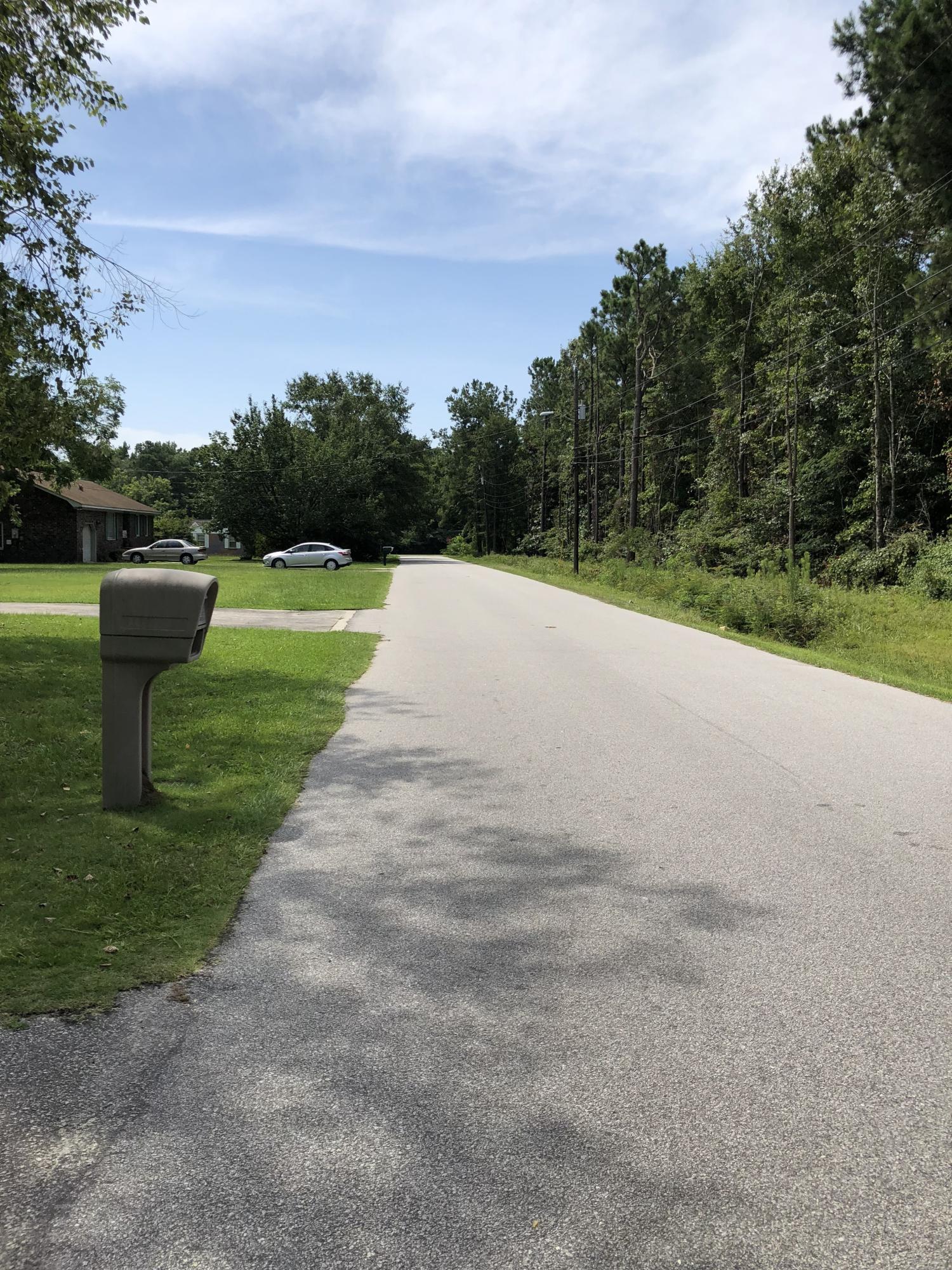 8962 Powell Road North Charleston, SC 29406 - Photo 27 of 27 street scene
