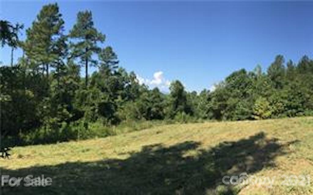 999 Rachel Bell Road, Unit 23 Mill Spring, NC 28756 - Photo 2 of 2 a view of a yard with a tree