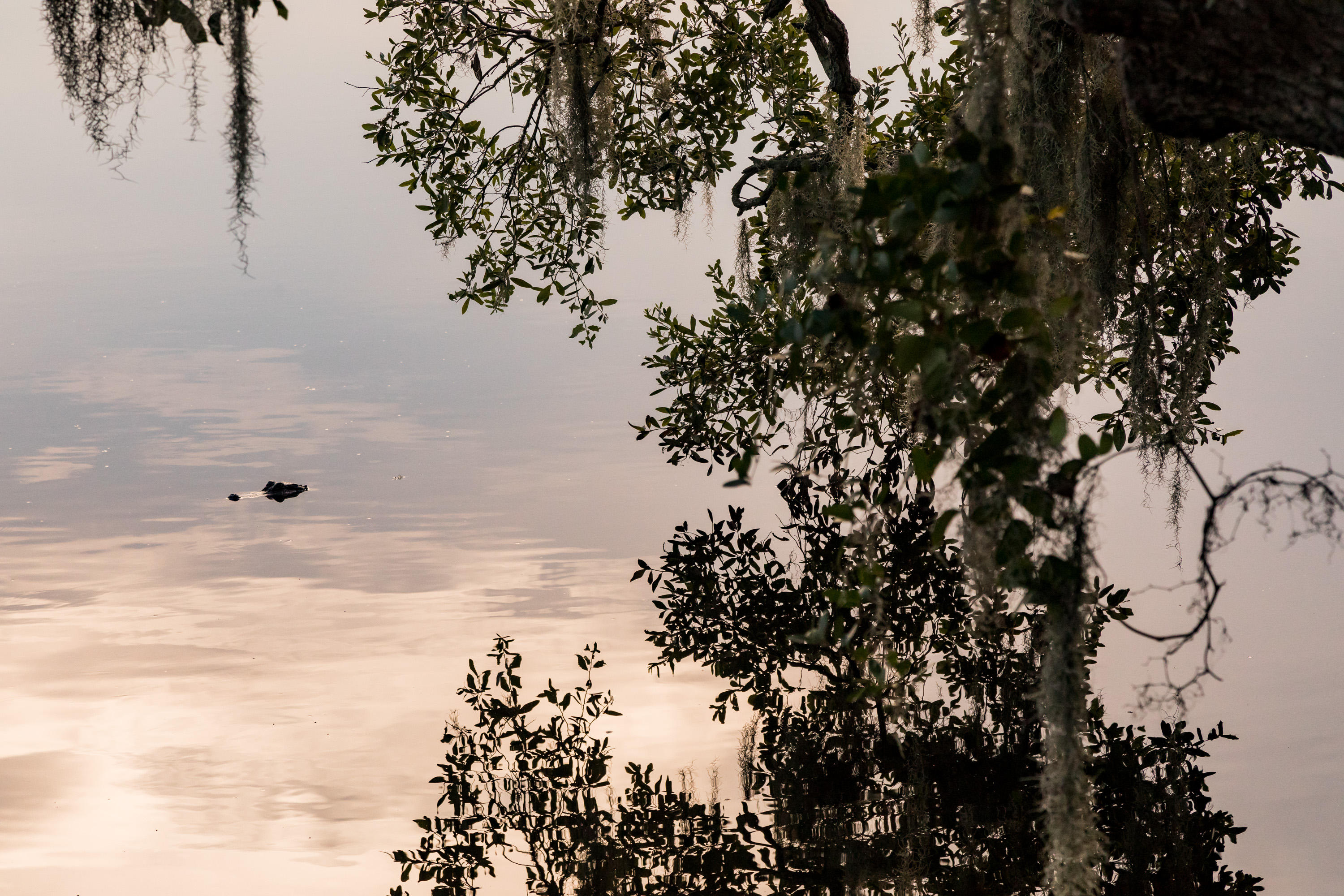 2588 Helmsman Road Johns Island, SC 29455 - Photo 18 of 19 PFE_2980