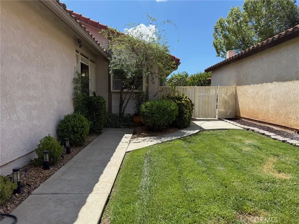 a view of a backyard with potted plants