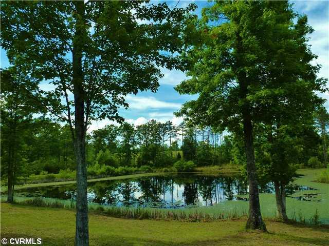 301 Game Farm Road Cumberland, VA 23040 - Photo 10 of 12 Other - View toward pond from porch and studio..