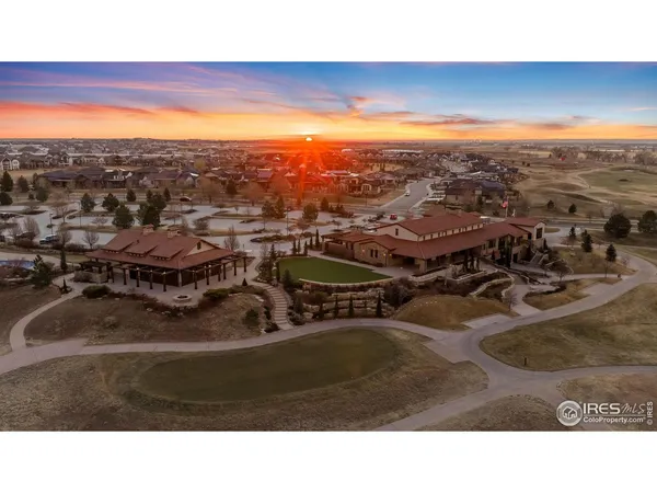 a living room with furniture a fireplace and a potted plant