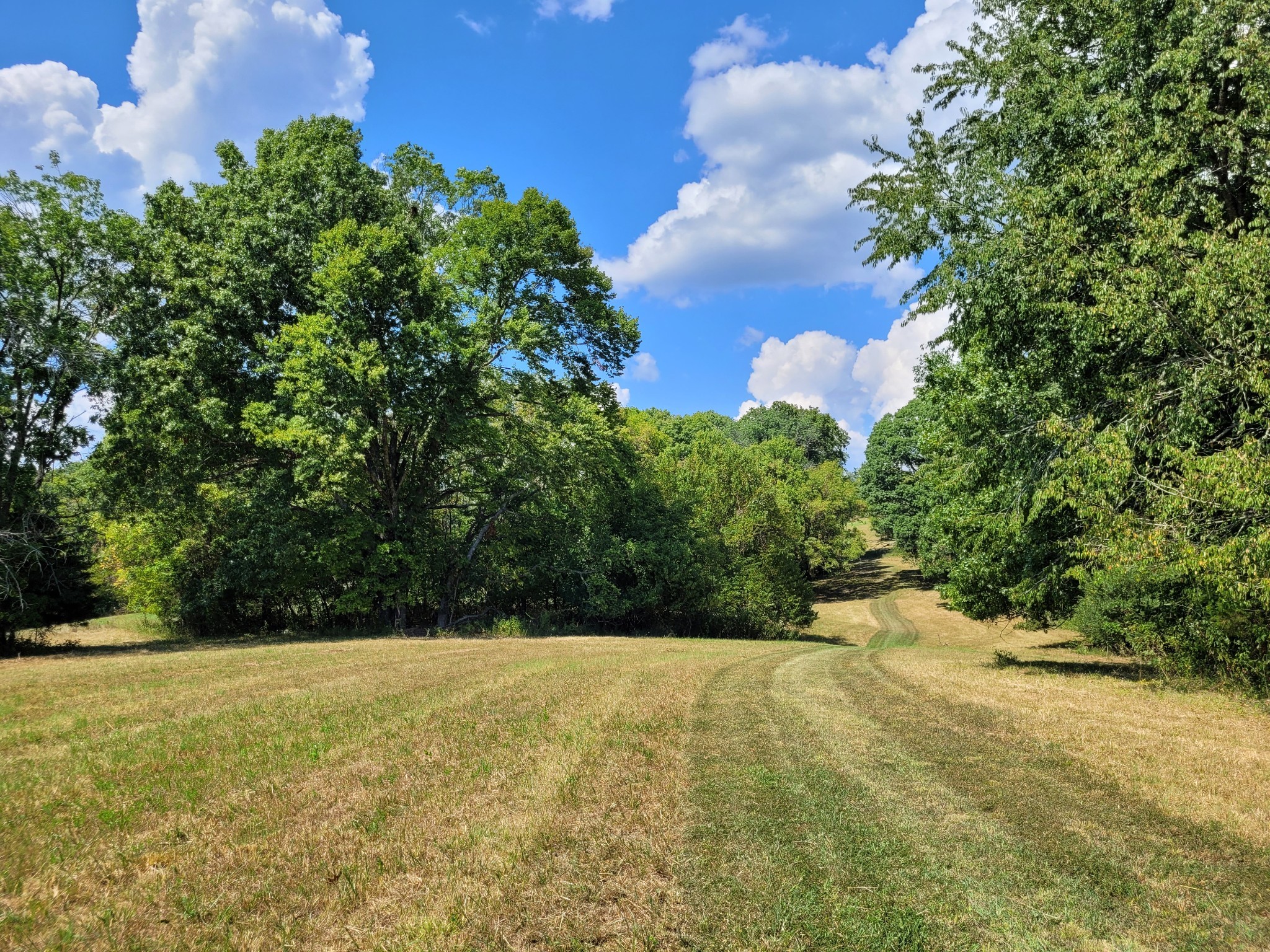 1289 Old Hopewell Road Bethpage, TN 37022 - Photo 36 of 42 Gallery Image 36