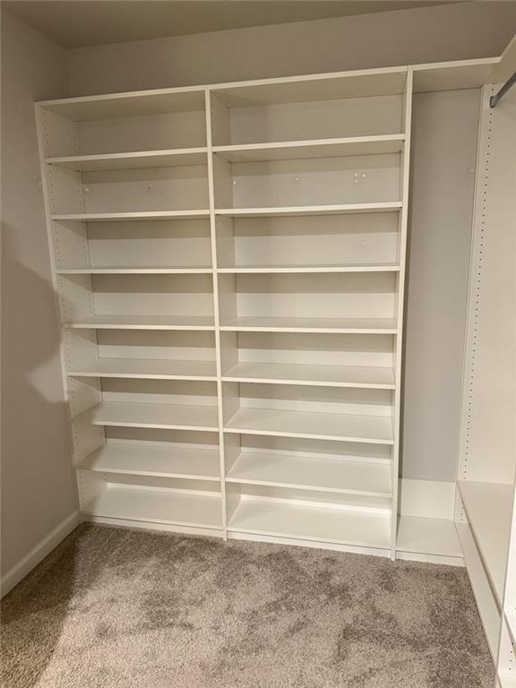 230 Mackenzie Court Covington, GA 30016 - Photo 17 of 23 a view of walk in closet with empty racks