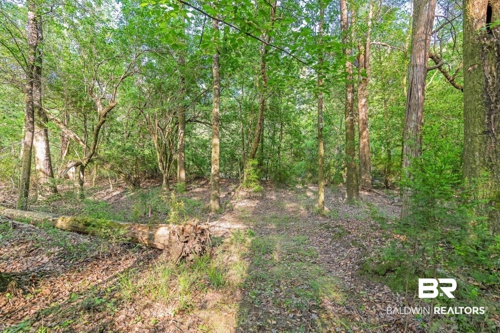 11100 Kali Oka Road Eight Mile, AL 36613 - Photo 27 of 49