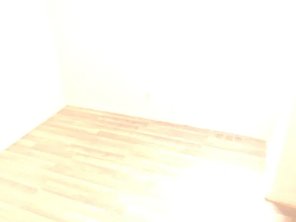 $2,200 | 8518 South Givins Court, Chicago, IL 60620