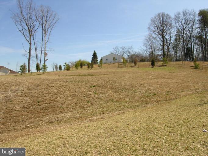 4133 Agency Loop Triangle, VA 22172 - Photo 24 of 30 Back yard