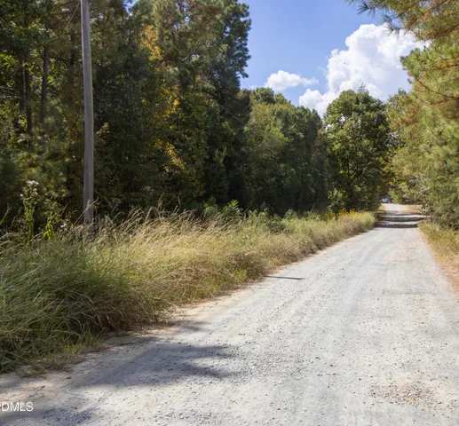 a view of a yard with plants and trees