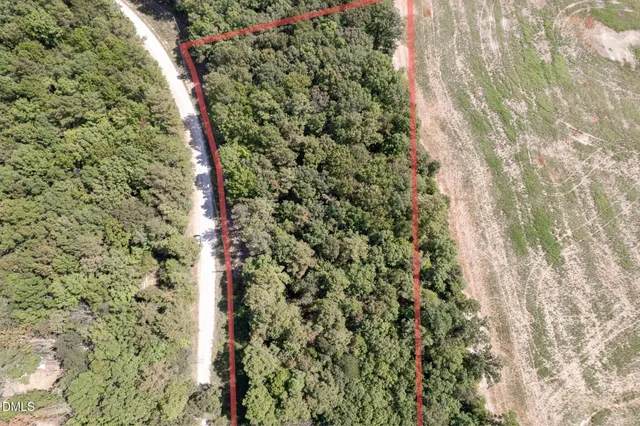 a close up of a plant