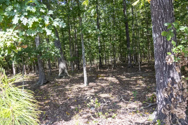 a backyard of a house with lots of trees