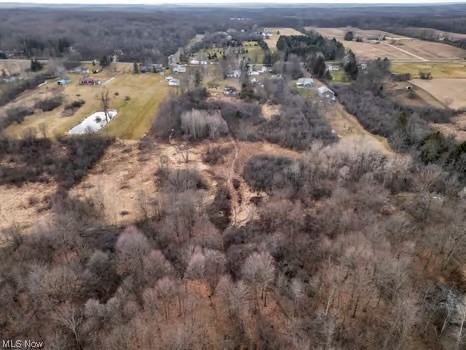 12200 Chamberlain Road Aurora, OH 44202 - Photo 33 of 33 View of bird's eye view