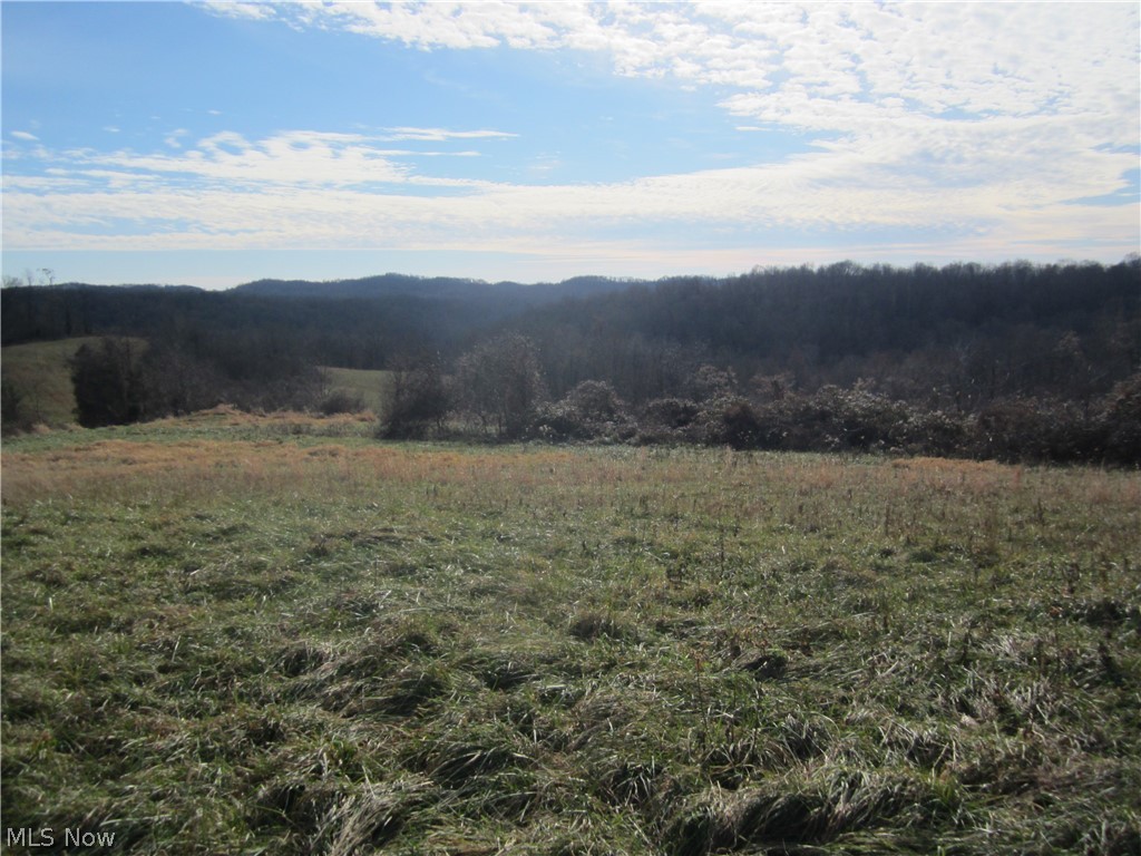 Zion Ridge Road Marietta, OH 45750 - Photo 4 of 8