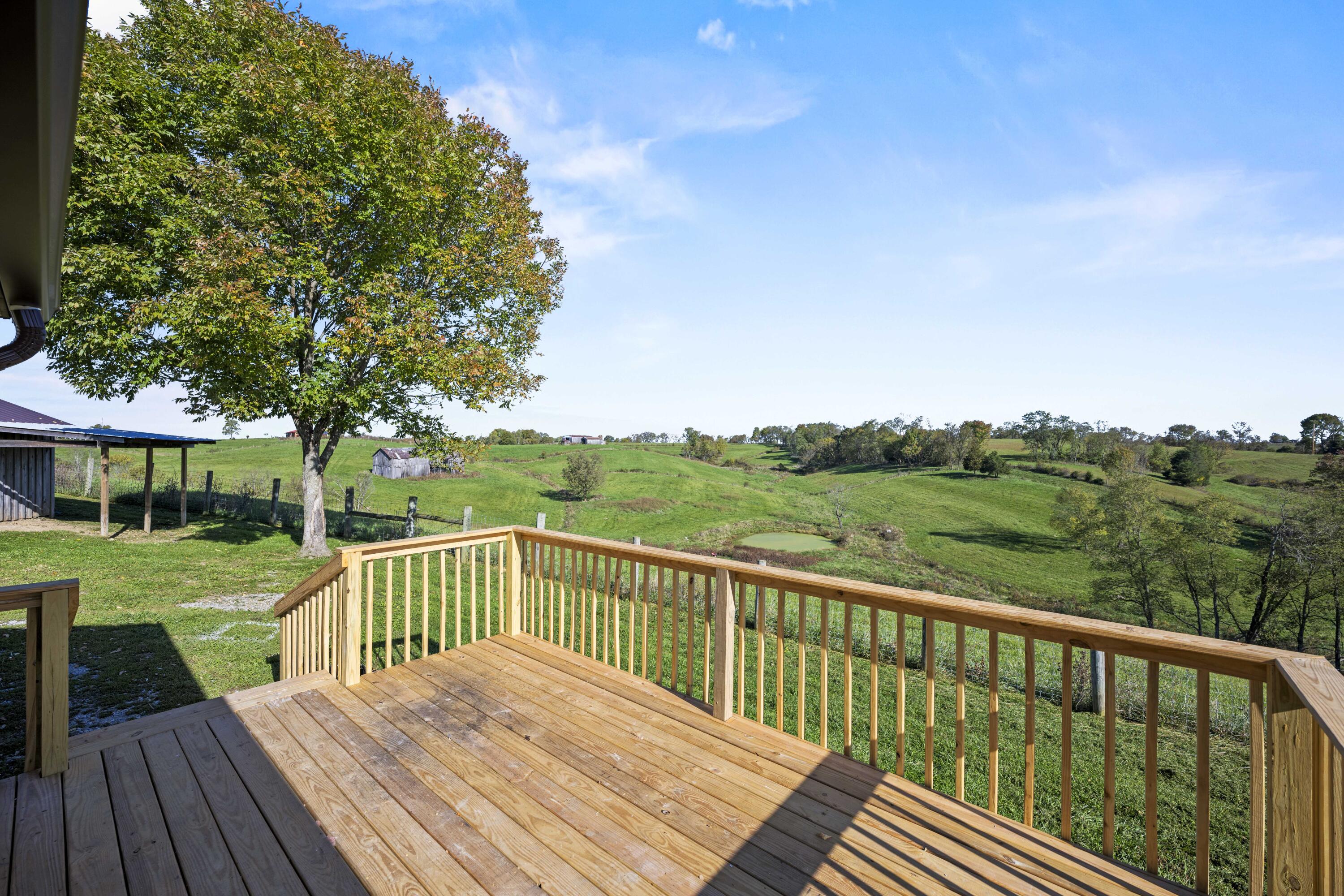 20241010-1355-Gillespie-Rd-tem-006