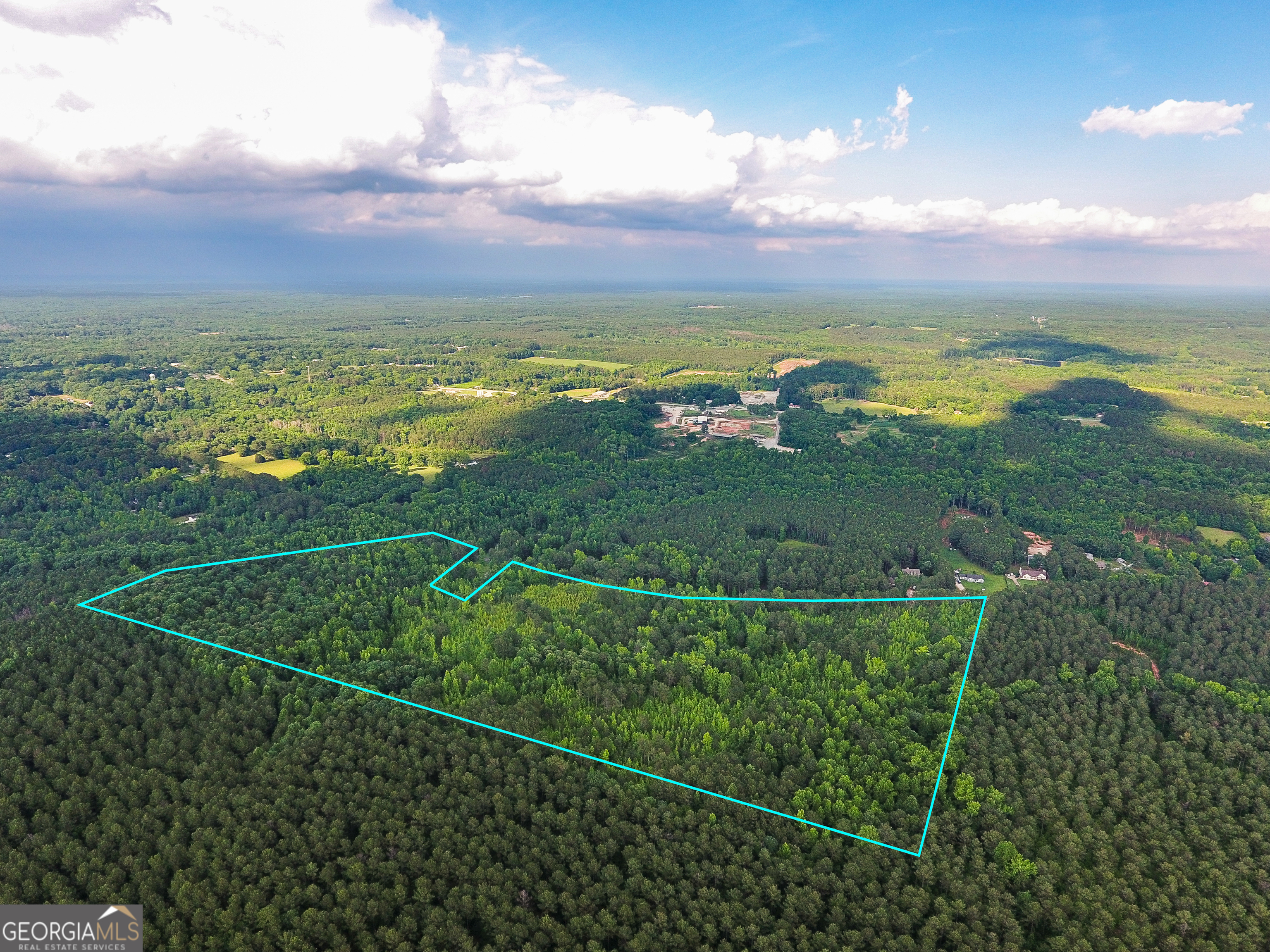 0 John Trammell Road Luthersville, GA 30251 - Photo 19 of 19
