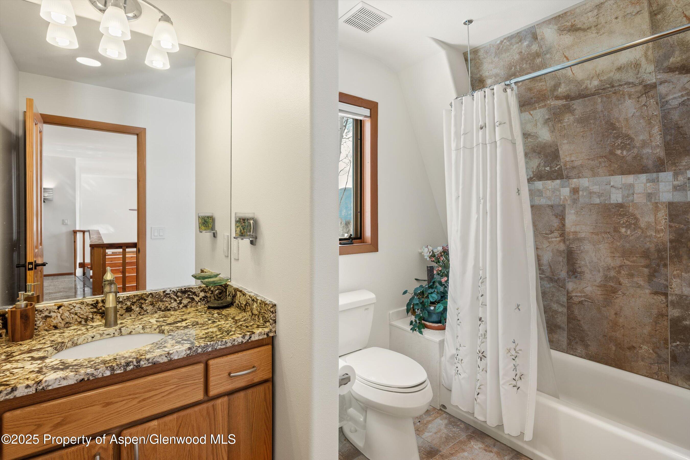 238 Hawk Lane Basalt, CO 81621 - Photo 26 of 46 a bathroom with a granite countertop sink toilet and shower