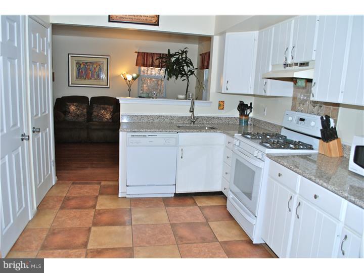 28 Nutt Road Phoenixville, PA 19460 - Photo 9 of 24 Kitchen
