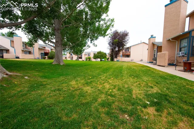 a view of a big yard with plants and trees