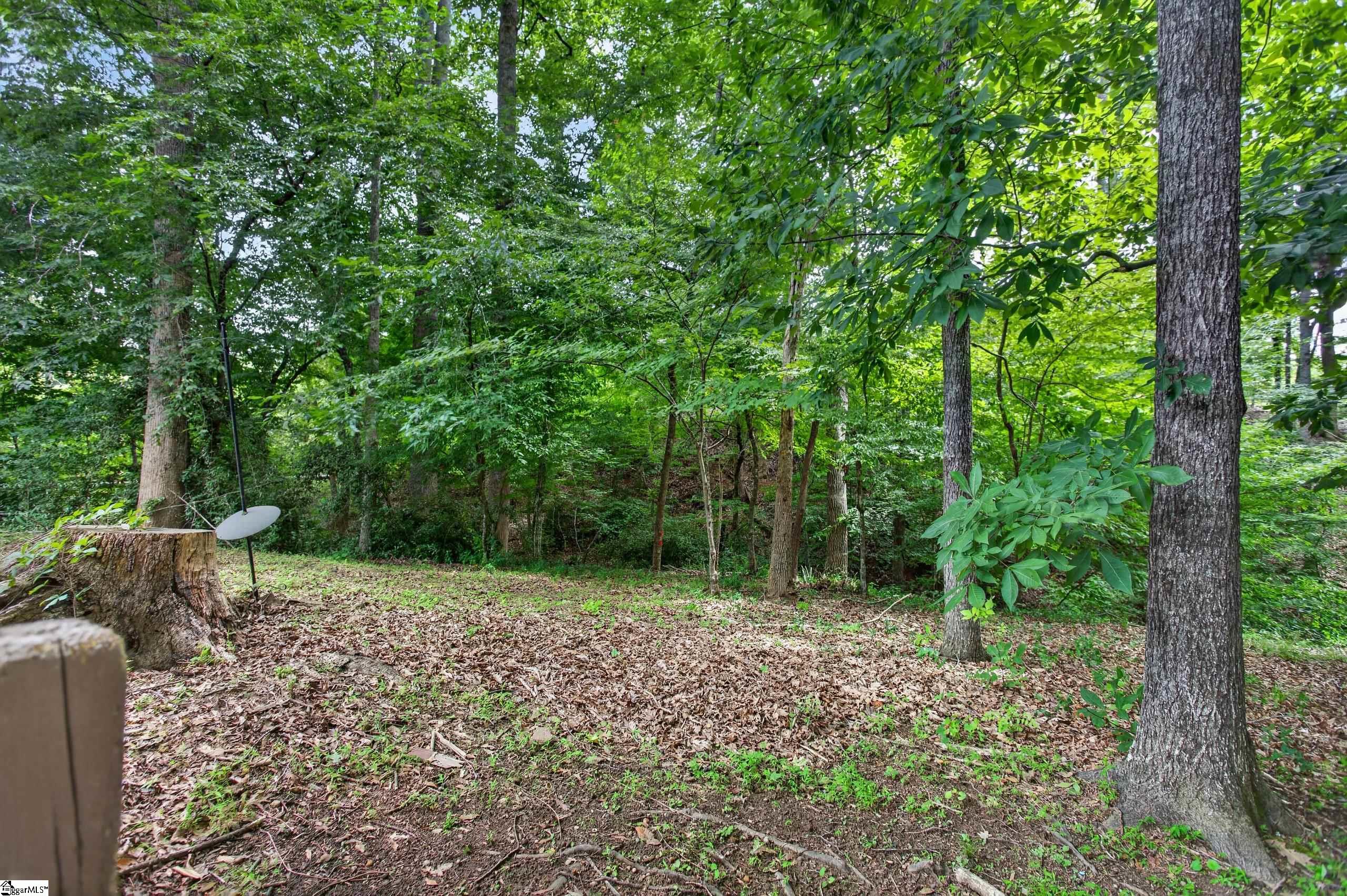 112 Santee Trail Clemson, SC 29631 - Photo 45 of 50