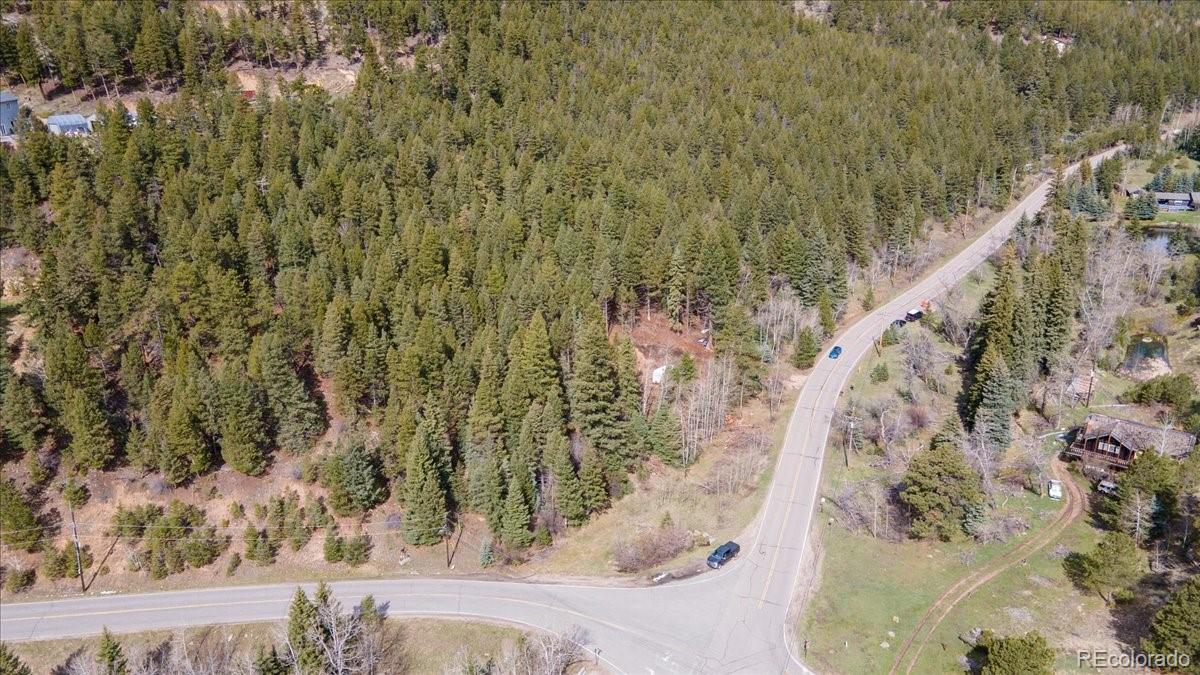 1521 Witter Gulch Road Evergreen, CO 80439 - Photo 1 of 20 a view of a yard with trees