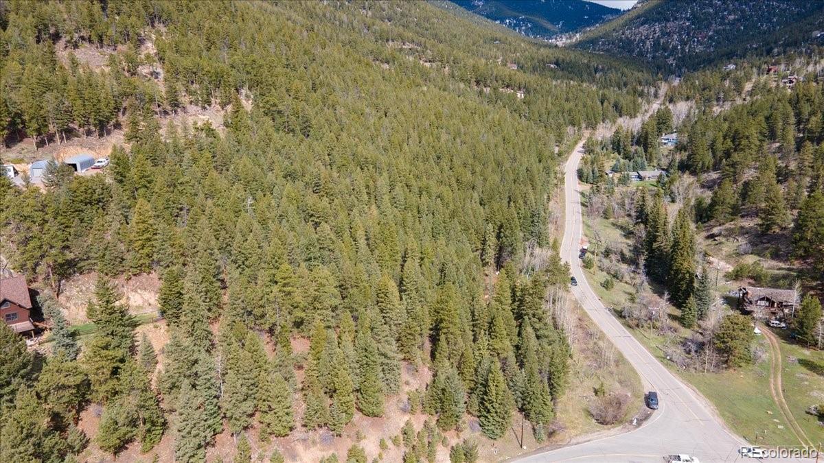 1521 Witter Gulch Road Evergreen, CO 80439 - Photo 11 of 20 a view of a yard