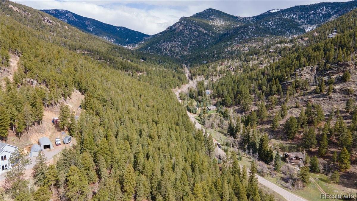 1521 Witter Gulch Road Evergreen, CO 80439 - Photo 12 of 20 a view of a forest
