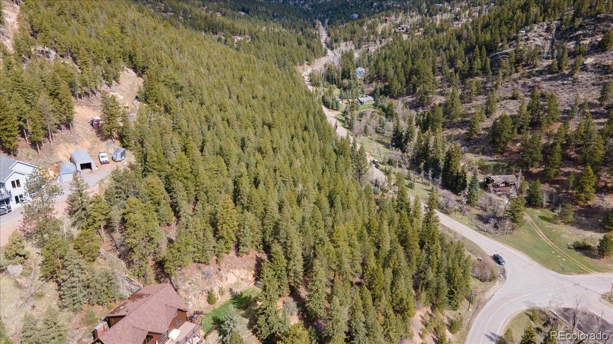 1521 Witter Gulch Road Evergreen, CO 80439 - Photo 13 of 20 a view of a forest
