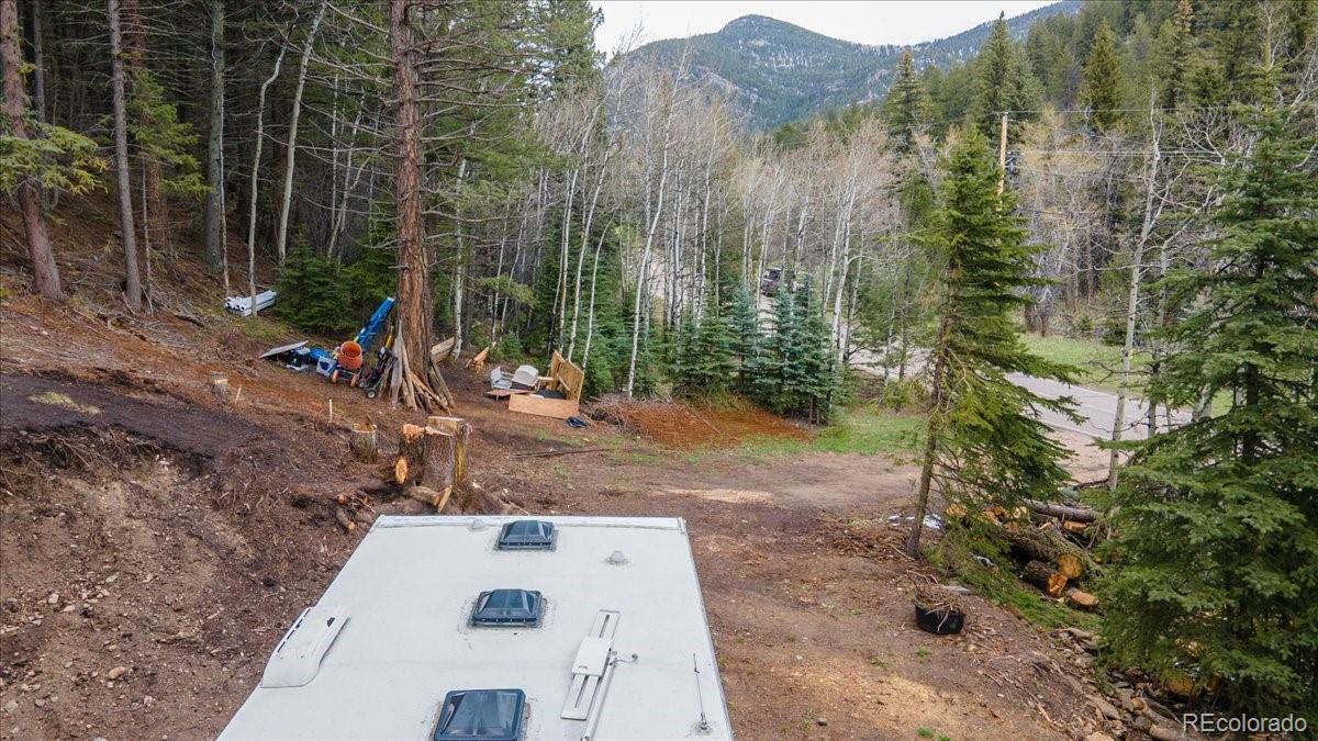 1521 Witter Gulch Road Evergreen, CO 80439 - Photo 19 of 20 a view of a backyard with trees