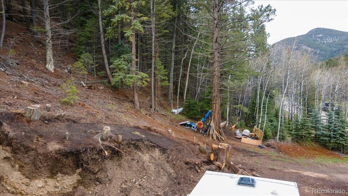 1521 Witter Gulch Road Evergreen, CO 80439 - Photo 20 of 20 a view of a forest with a bench and trees