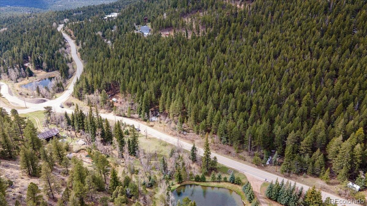 1521 Witter Gulch Road Evergreen, CO 80439 - Photo 3 of 20 a view of a yard with plants and large trees