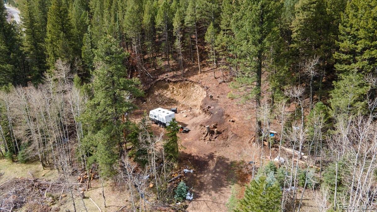 1521 Witter Gulch Road Evergreen, CO 80439 - Photo 5 of 20 a view of a lush green forest with lots of trees