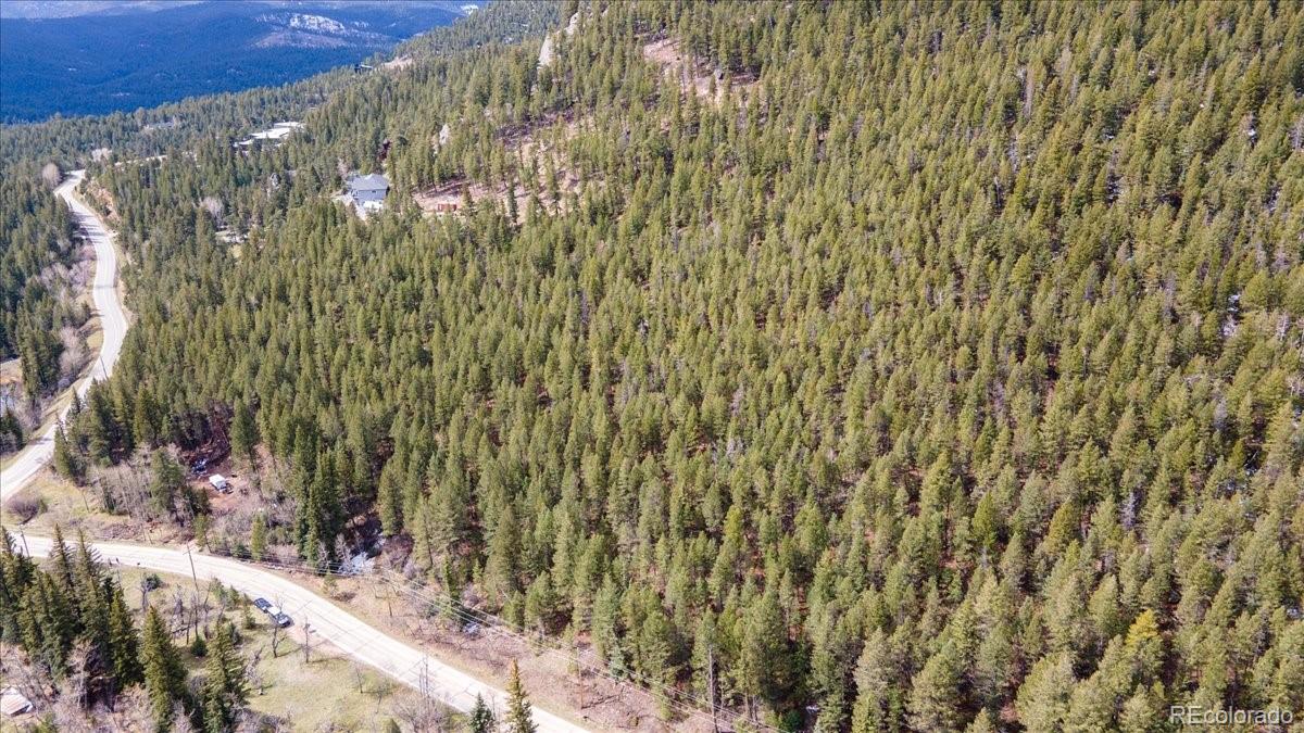 1521 Witter Gulch Road Evergreen, CO 80439 - Photo 6 of 20 a view of a garden with plants